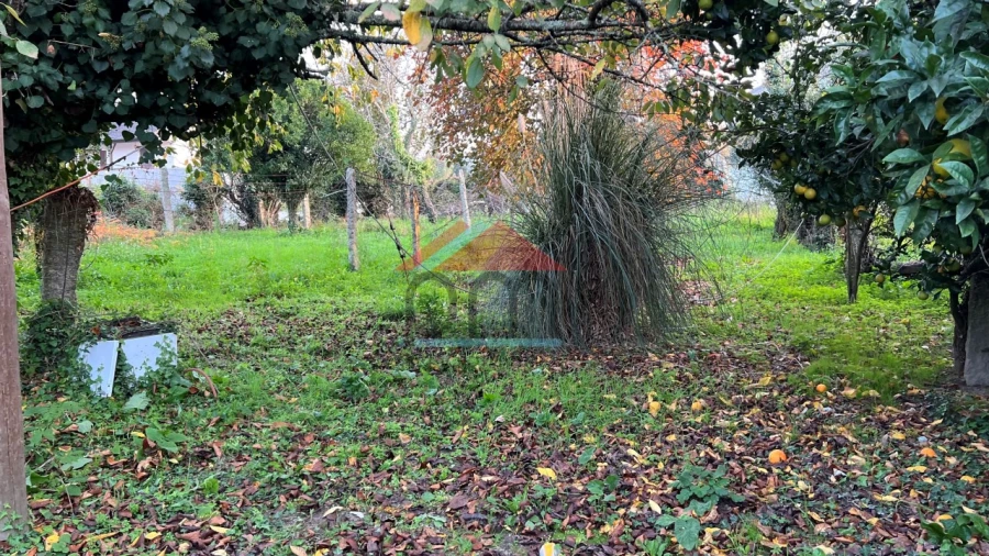 Terreno para Venda em Bela Foto 2