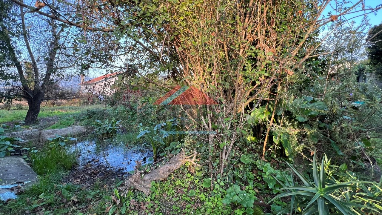 Moradia T3 para Venda em Bela Foto 7