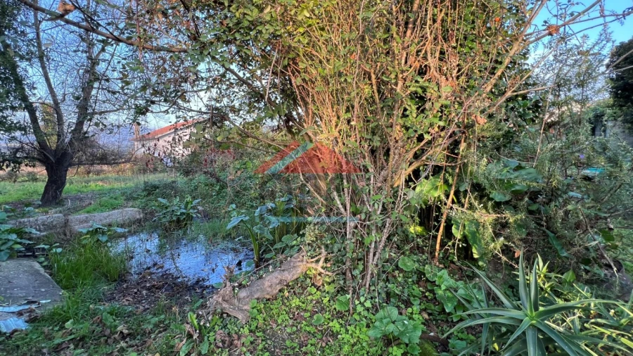 Moradia T3 para Venda em Bela Foto 7