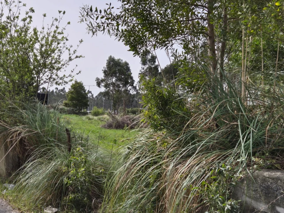 Terreno para Venda em Mindelo Foto 2