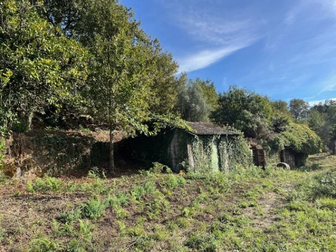 Terreno para Venda em Ponte da Barca, V.N. Muía, Paço Vedro Magalhães Foto 2
