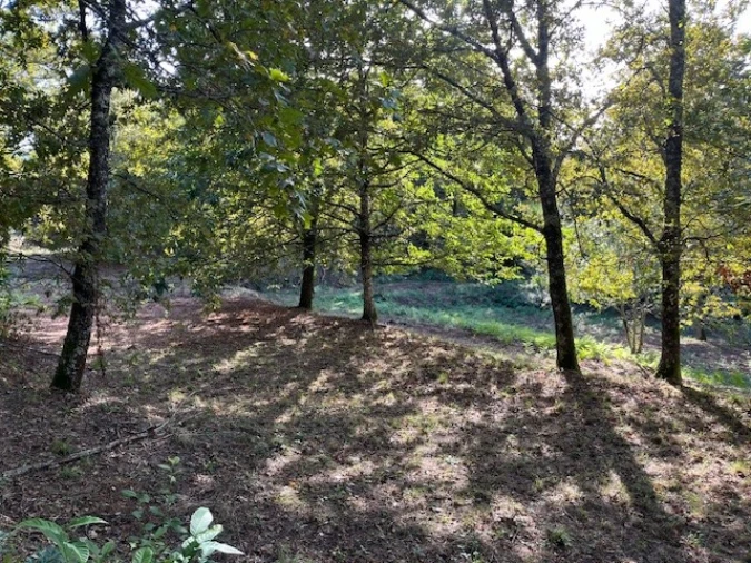 Terreno para Venda em Ponte da Barca, V.N. Muía, Paço Vedro Magalhães Foto 13