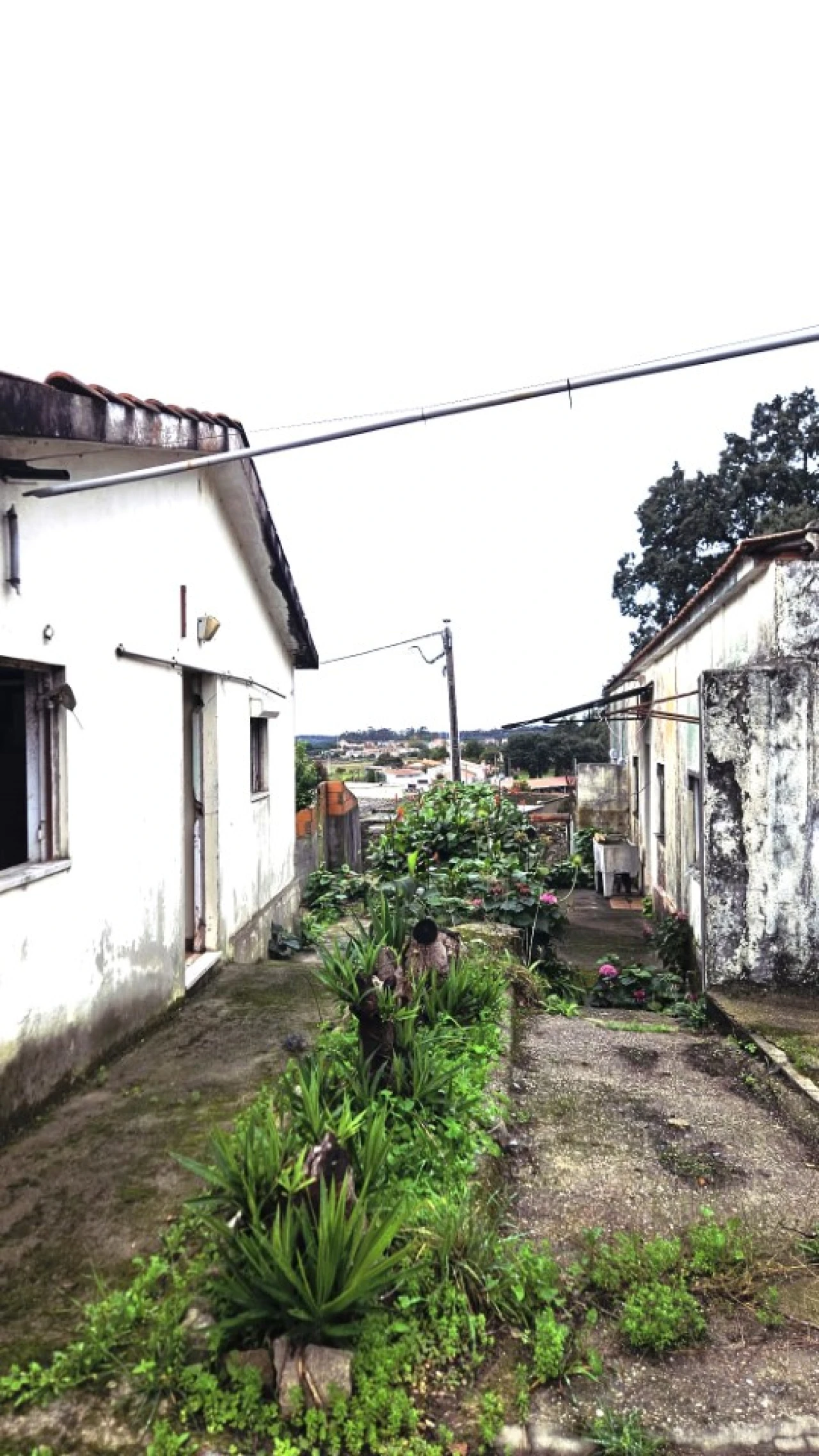 Moradia T3 para Venda em Guilhabreu Foto 4