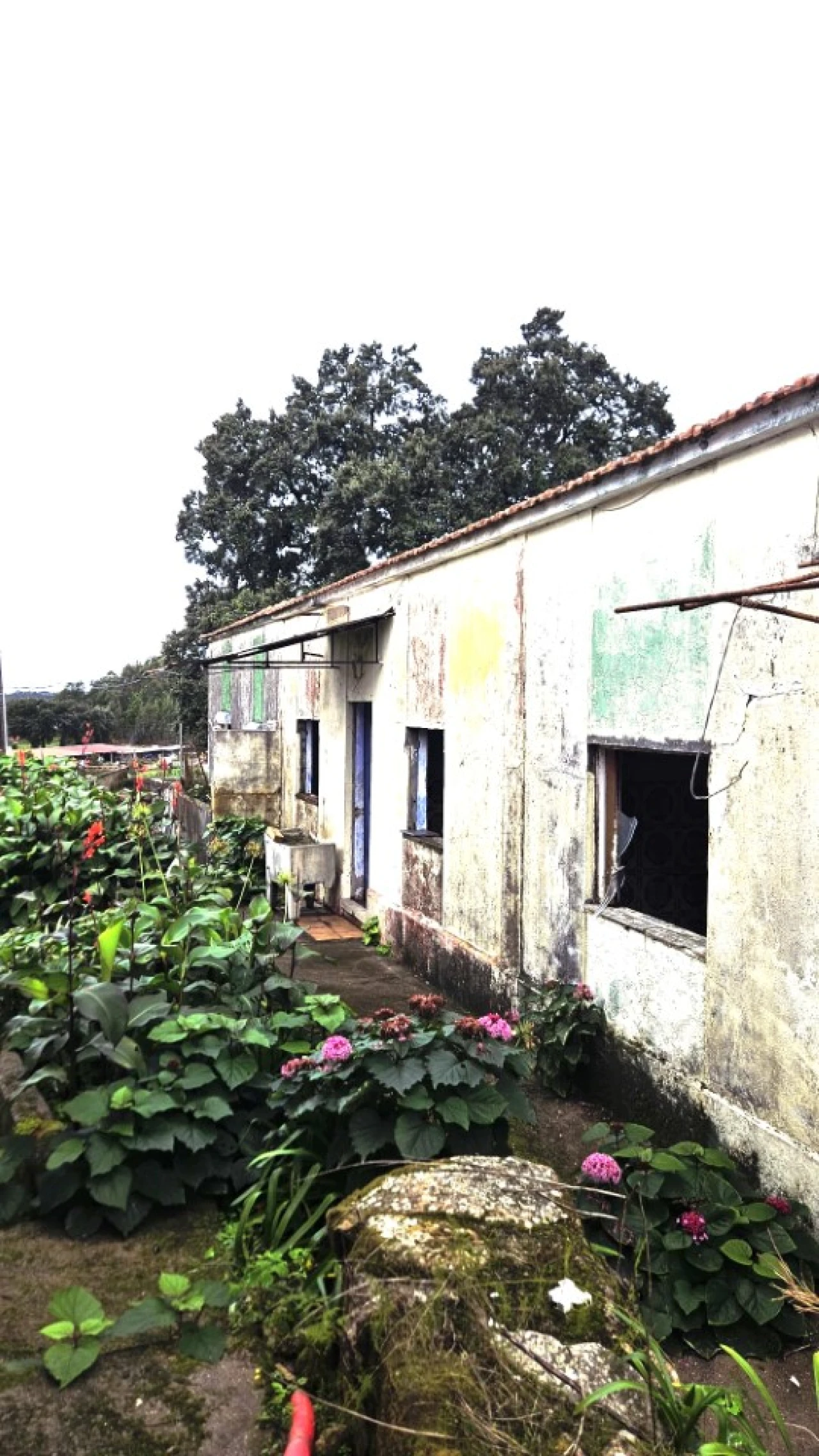 Moradia T3 para Venda em Guilhabreu Foto 5