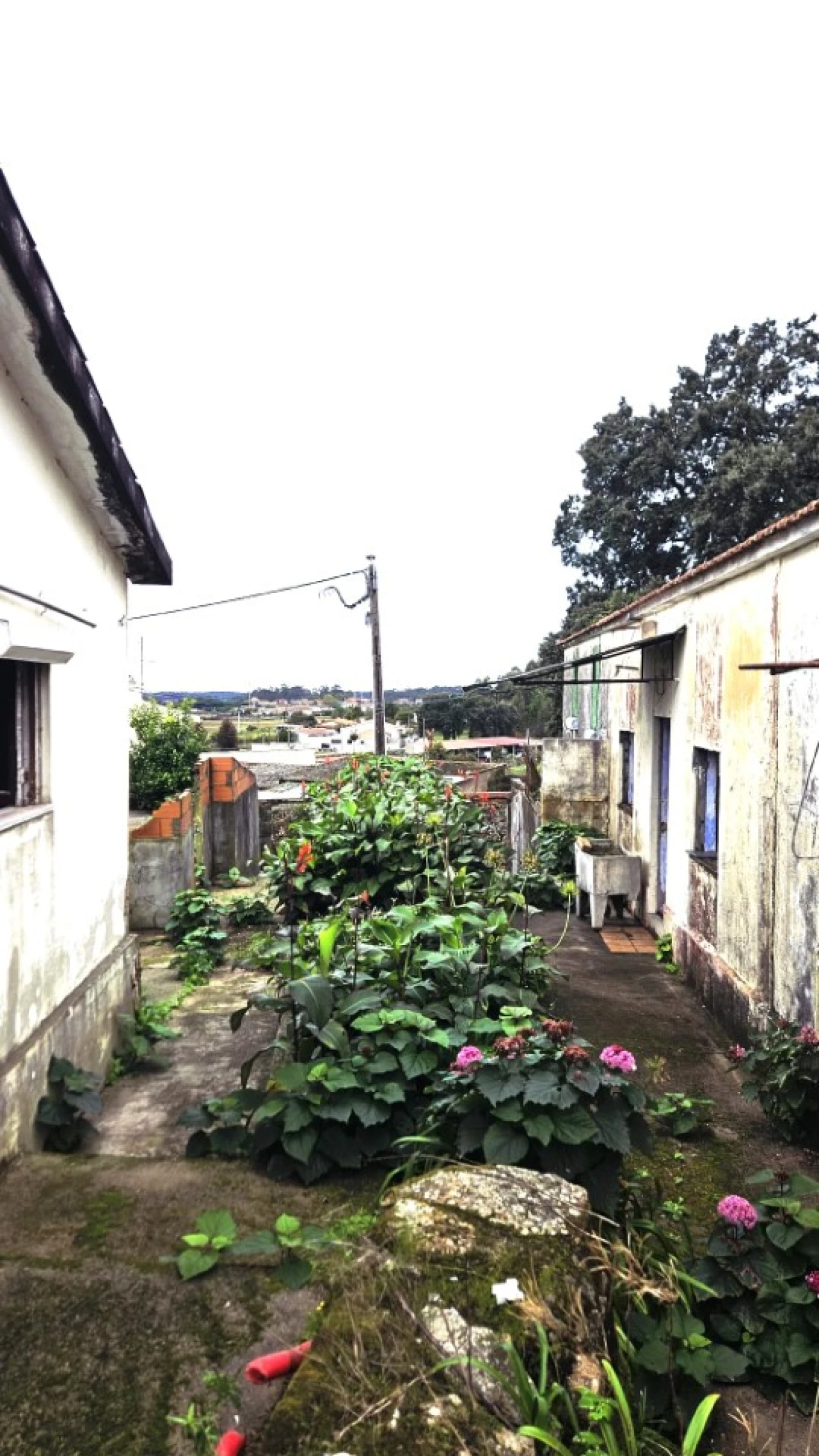 Moradia T3 para Venda em Guilhabreu Foto 7