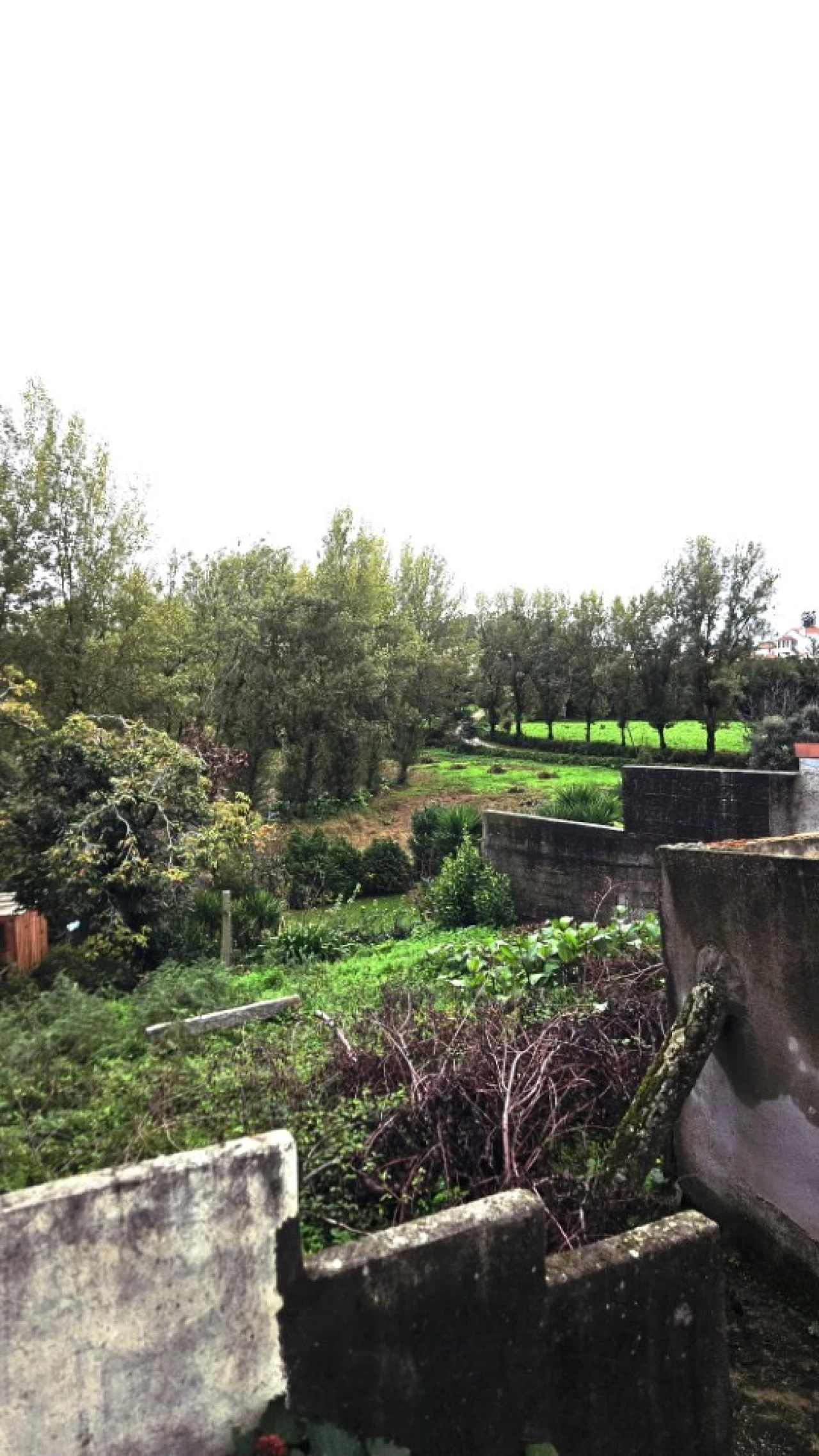 Moradia T3 para Venda em Guilhabreu Foto 12