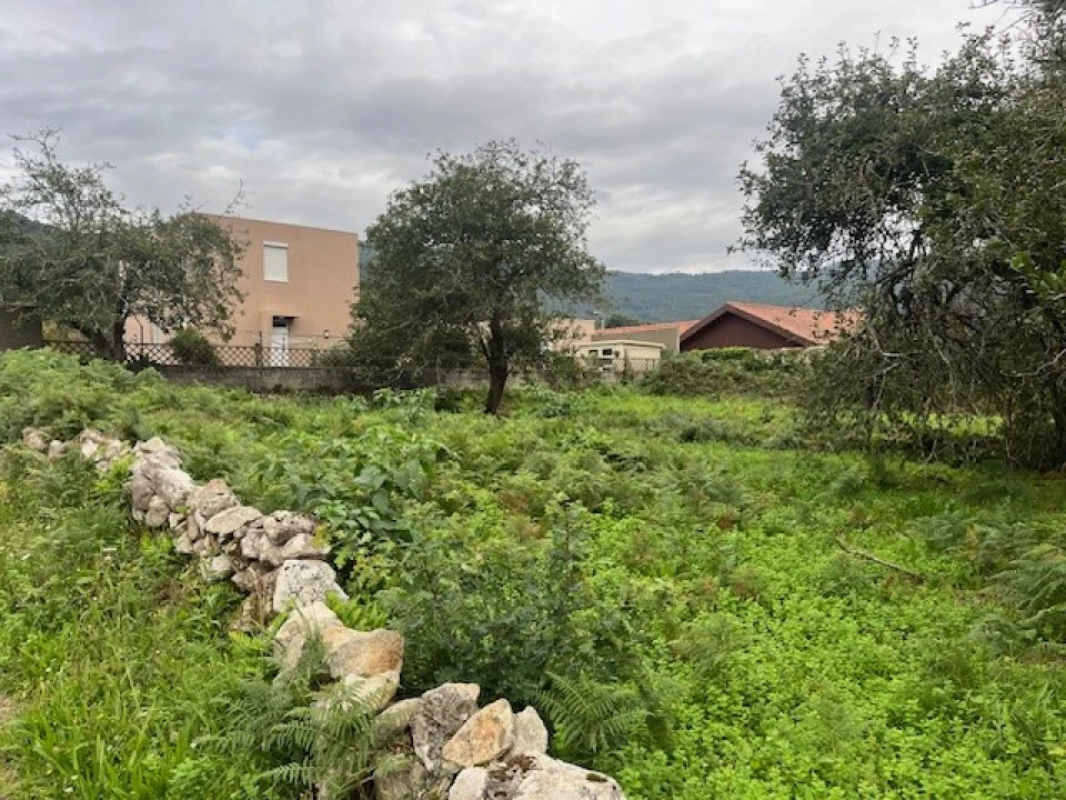 Terreno para Venda em Afife Foto 3