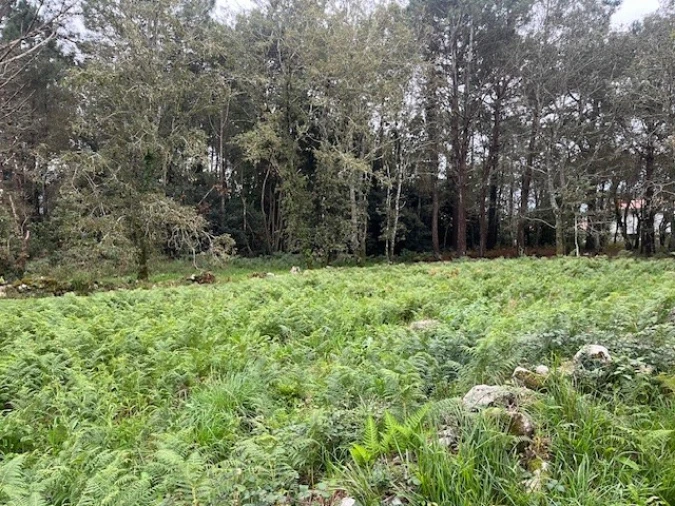 Terreno para Venda em Afife Foto 1