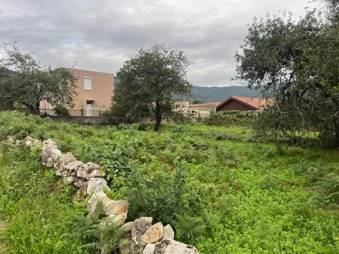 Terreno para Venda em Afife Foto 3