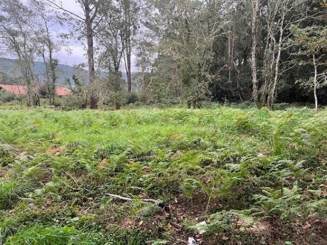 Terreno para Venda em Afife Foto 4