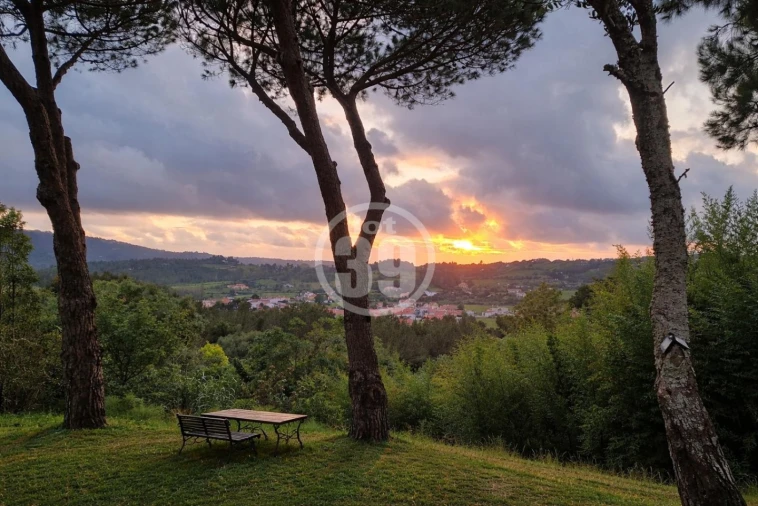 Quinta T5 para Venda em Santa Maria e São Miguel, São Martinho, São Pedro Penaferrim Foto 8