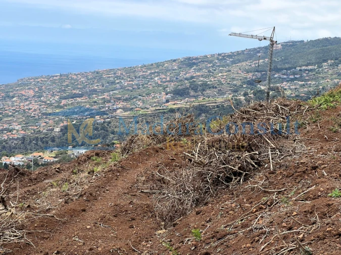 Terreno para Venda em Santa Cruz Foto 13