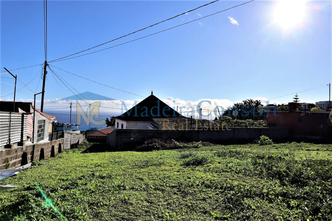Terreno para Venda em São Martinho Foto 2