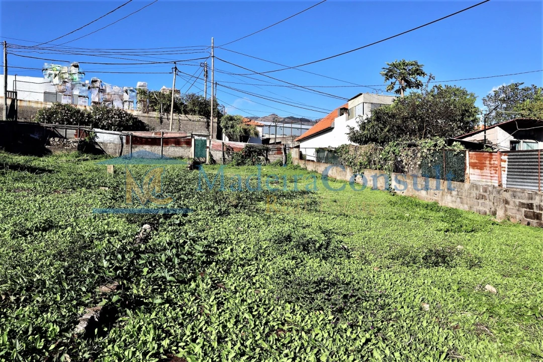 Terreno para Venda em São Martinho Foto 1