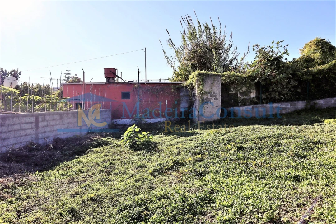 Terreno para Venda em São Martinho Foto 4