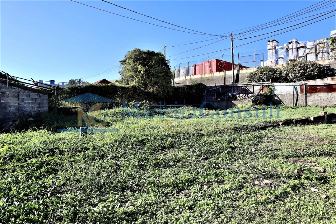 Terreno para Venda em São Martinho Foto 5