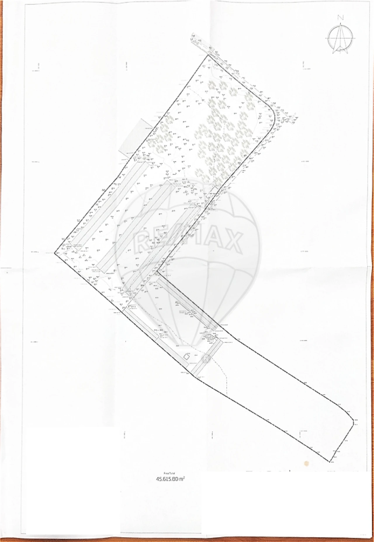 Terreno para Venda em Benedita Foto 22