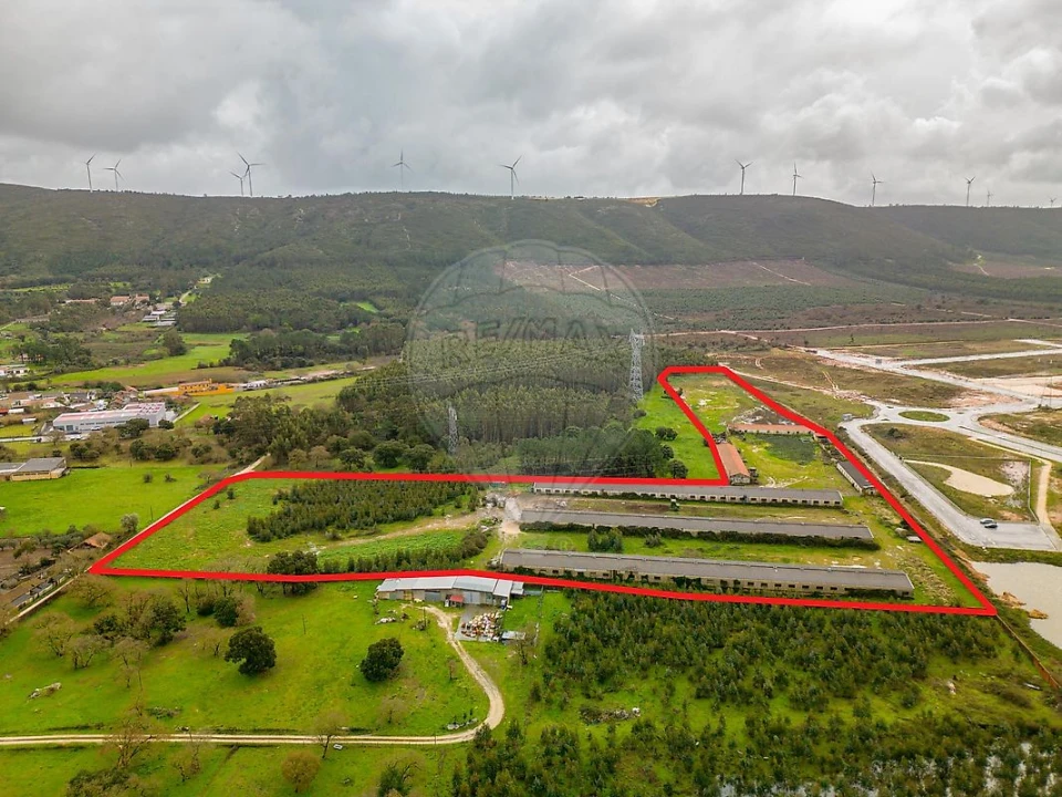 Terreno para Venda em Benedita Foto 13