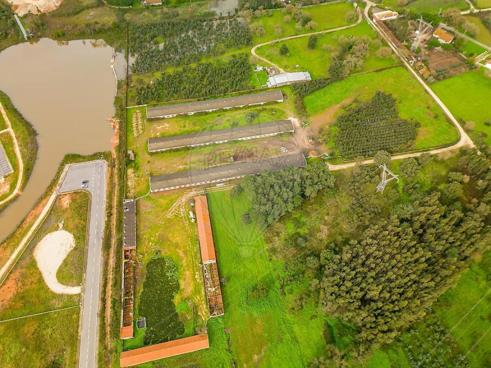 Terreno para Venda em Benedita Foto 20