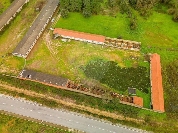 Terreno para Venda em Benedita Foto 17