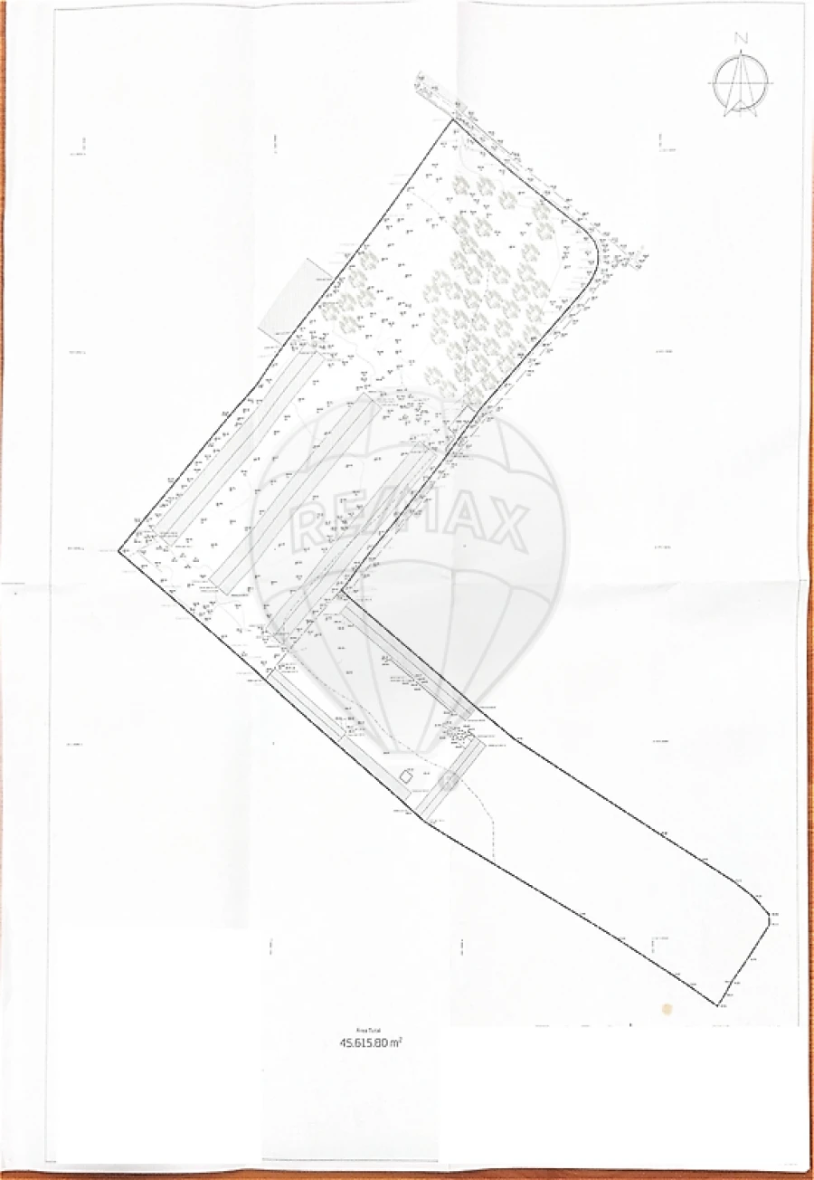 Terreno para Venda em Benedita Foto 22