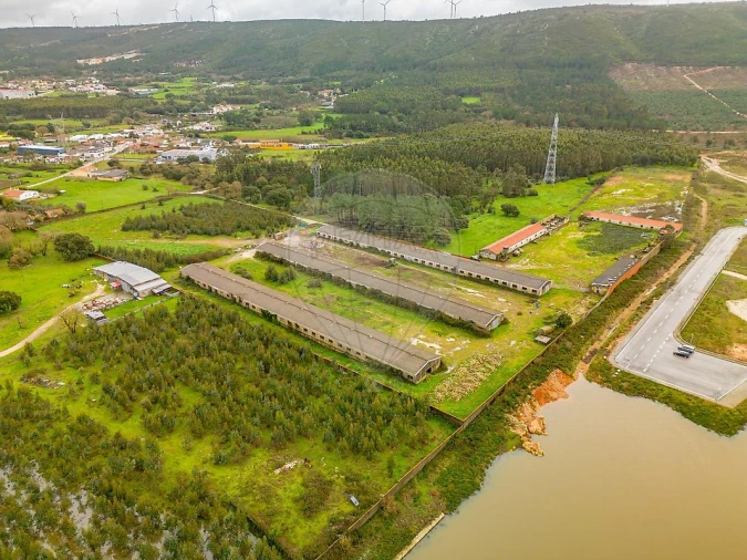 Terreno para Venda em Benedita Foto 11