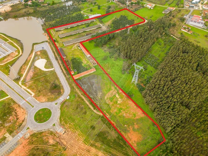 Terreno para Venda em Benedita Foto 15