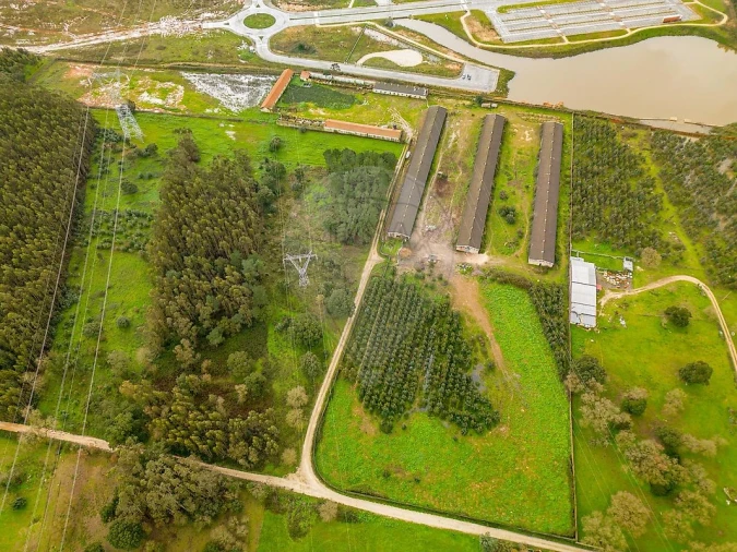 Terreno para Venda em Benedita Foto 18