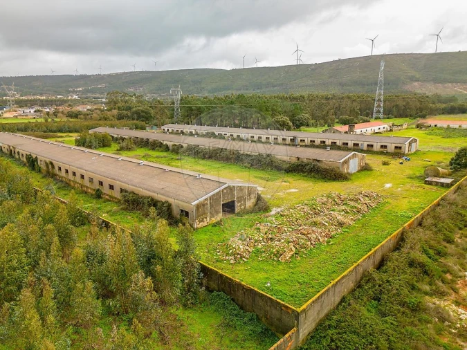 Terreno para Venda em Benedita Foto 9