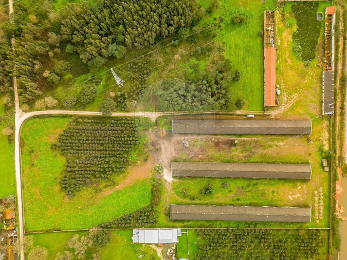 Terreno para Venda em Benedita Foto 21