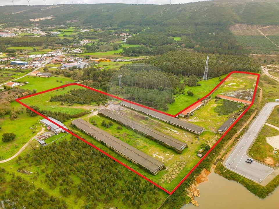 Terreno para Venda em Benedita Foto 10