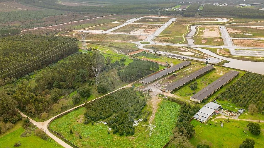Terreno para Venda em Benedita