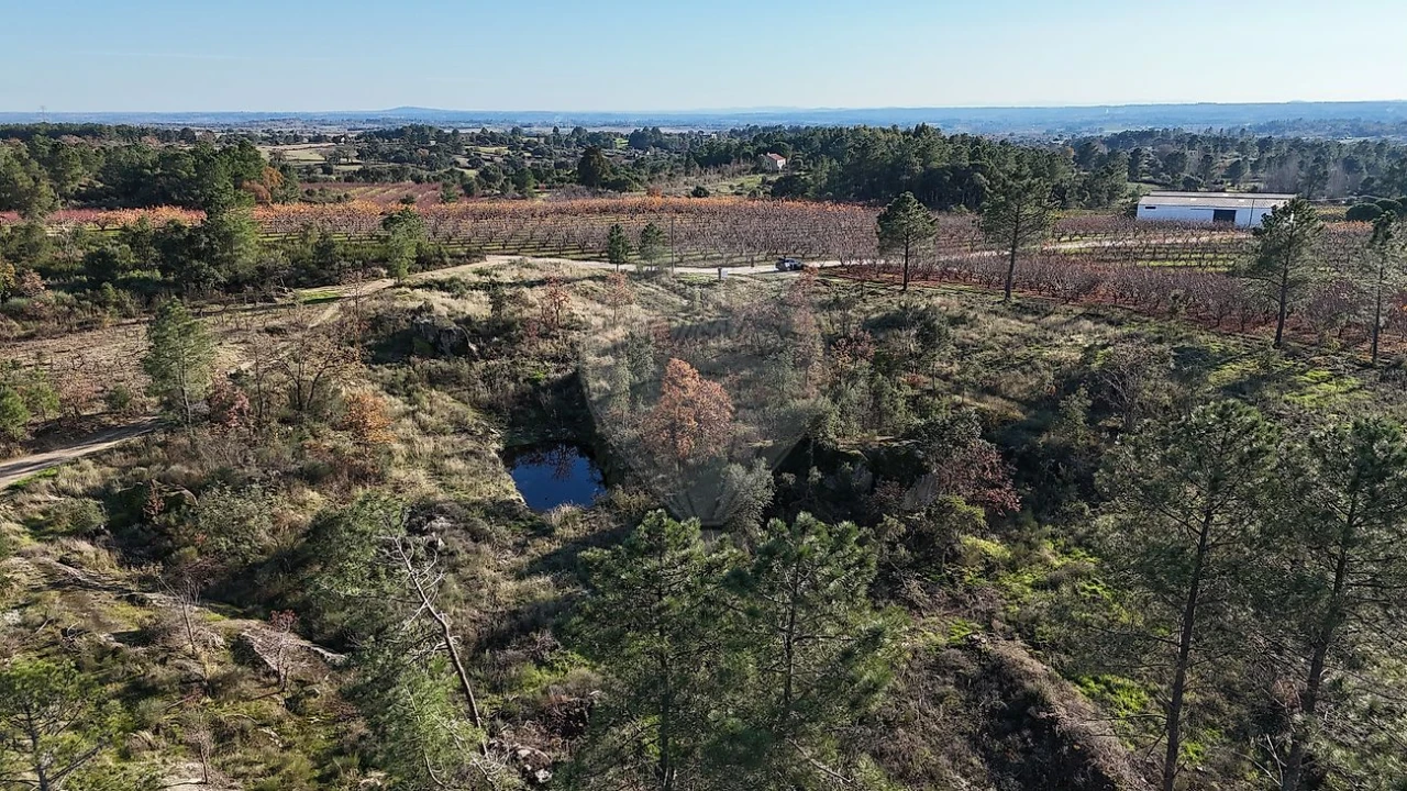 Terreno para Venda em Vale de Prazeres e Mata da Rainha Foto 1