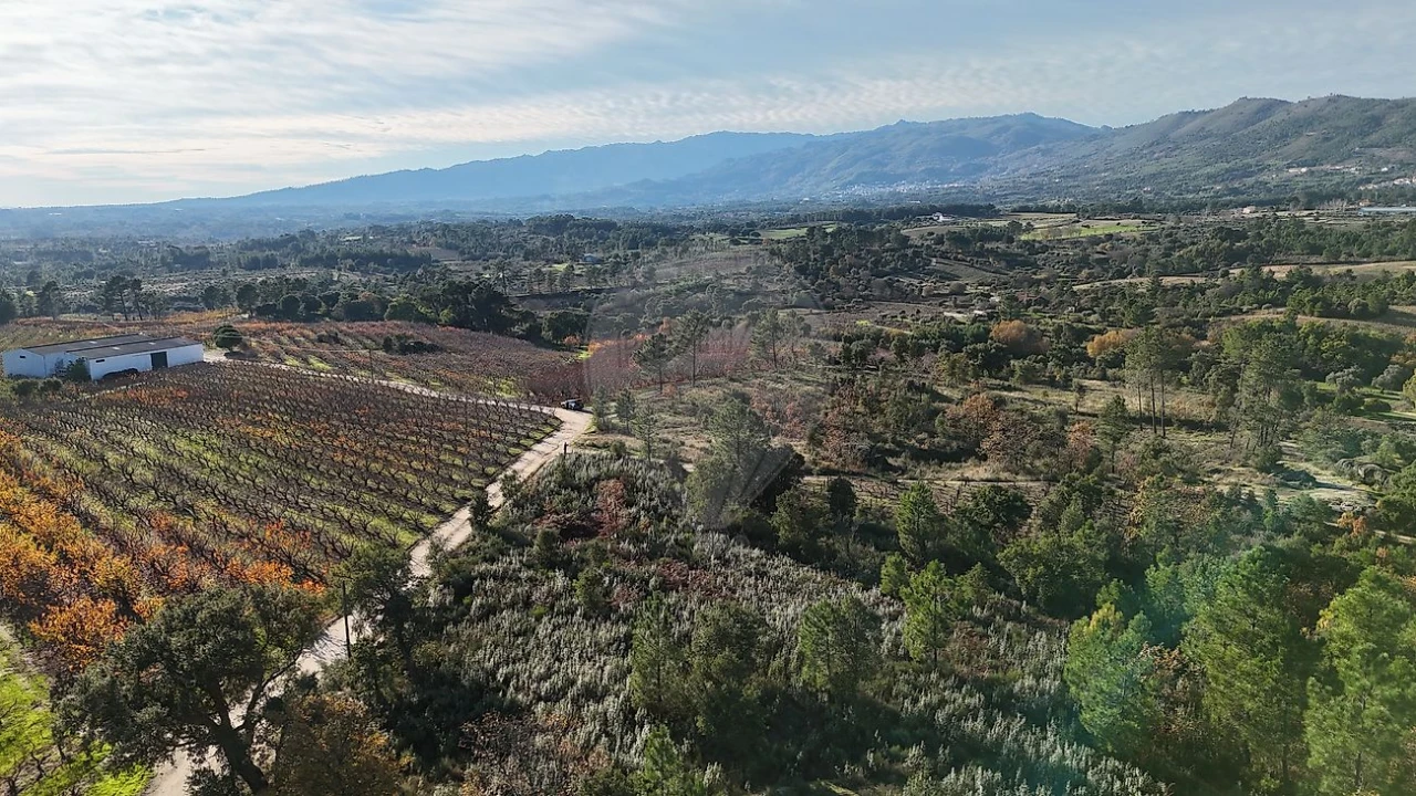 Terreno para Venda em Vale de Prazeres e Mata da Rainha Foto 12