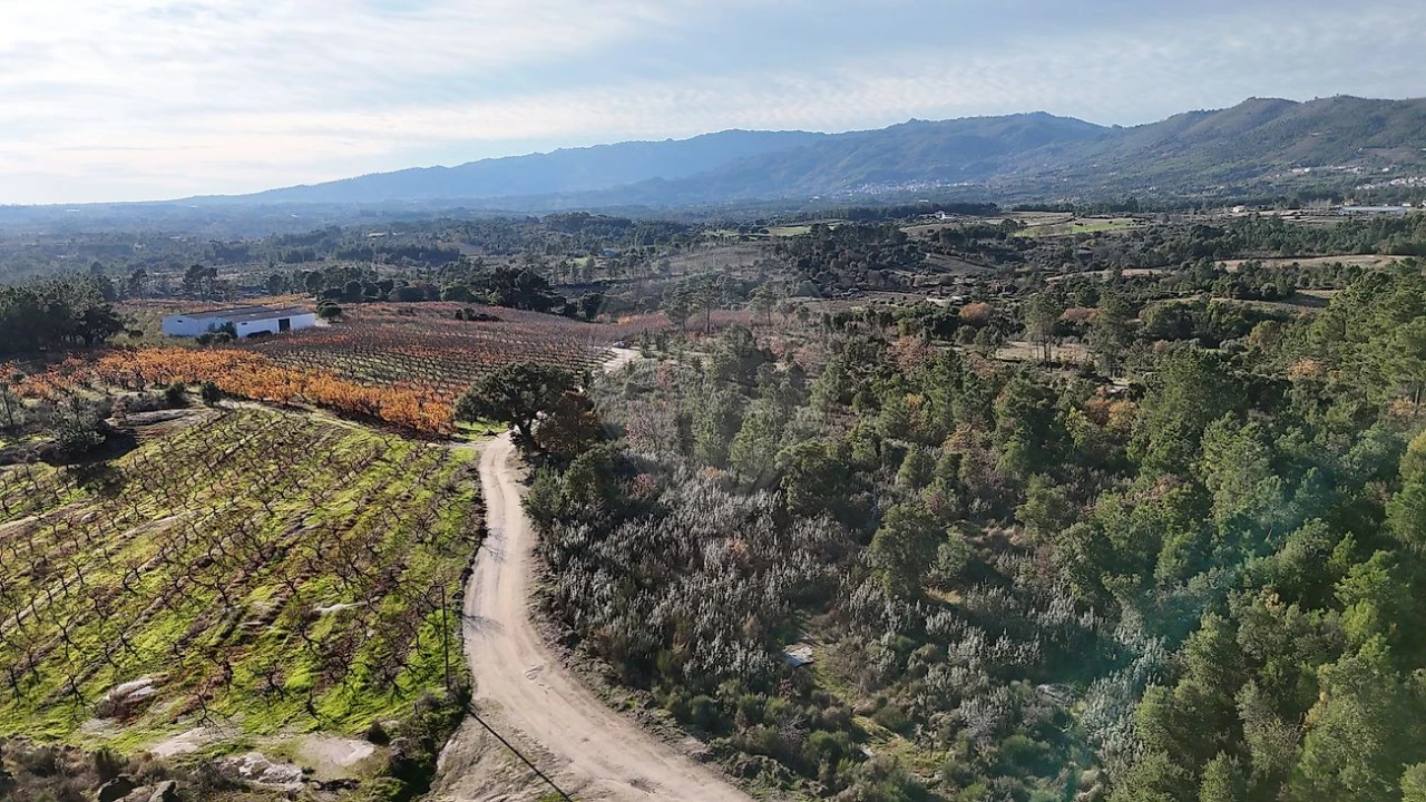Terreno para Venda em Vale de Prazeres e Mata da Rainha Foto 14