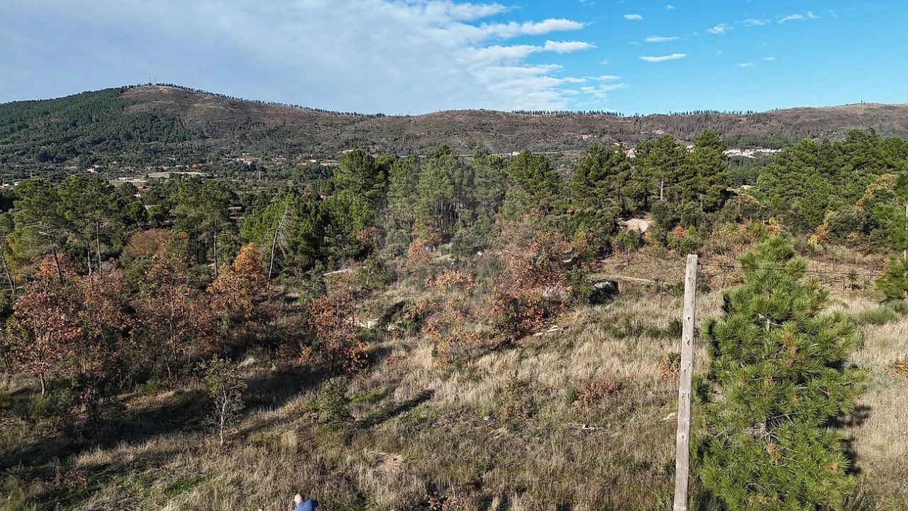 Terreno para Venda em Vale de Prazeres e Mata da Rainha Foto 9