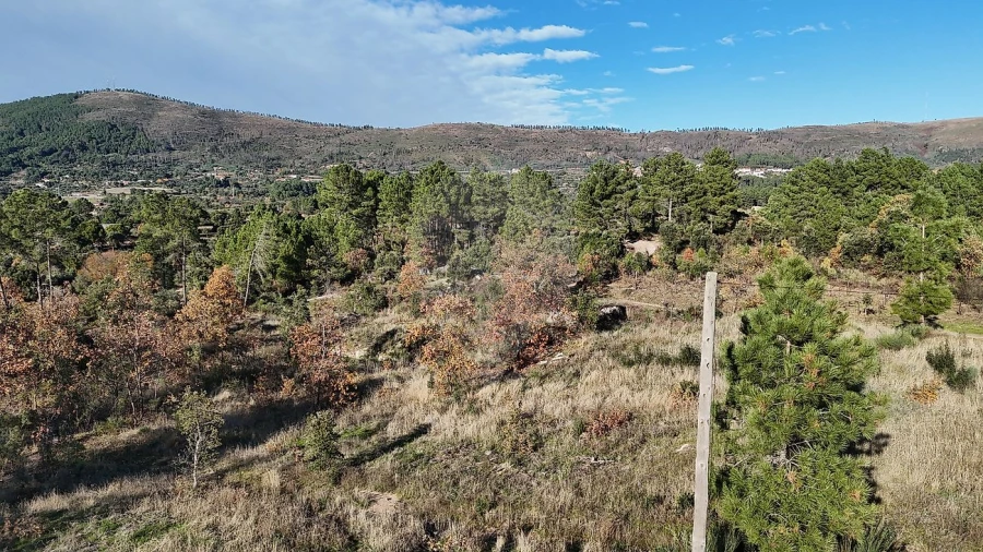 Terreno para Venda em Vale de Prazeres e Mata da Rainha Foto 10