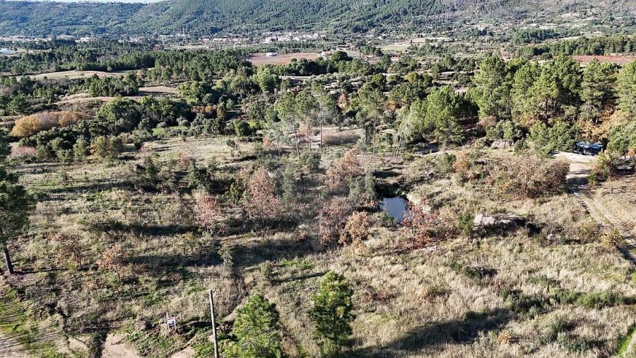 Terreno para Venda em Vale de Prazeres e Mata da Rainha Foto 5