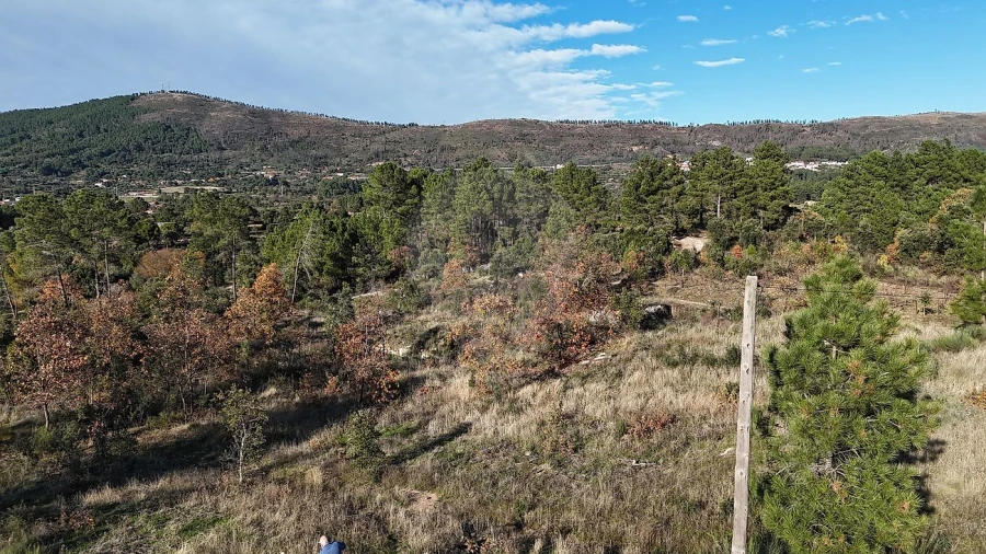 Terreno para Venda em Vale de Prazeres e Mata da Rainha Foto 9