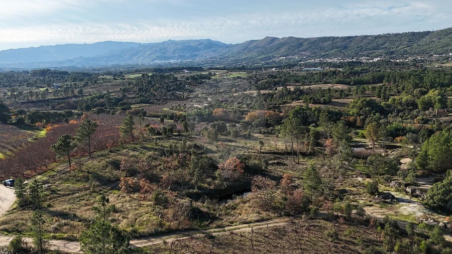 Terreno para Venda em Vale de Prazeres e Mata da Rainha Foto 6