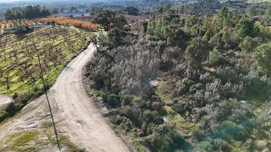 Terreno para Venda em Vale de Prazeres e Mata da Rainha Foto 3
