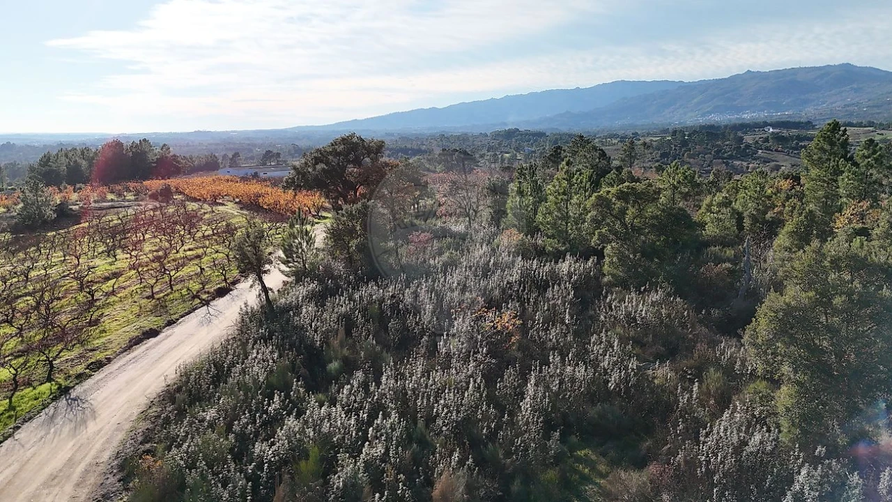 Terreno para Venda em Vale de Prazeres e Mata da Rainha Foto 13
