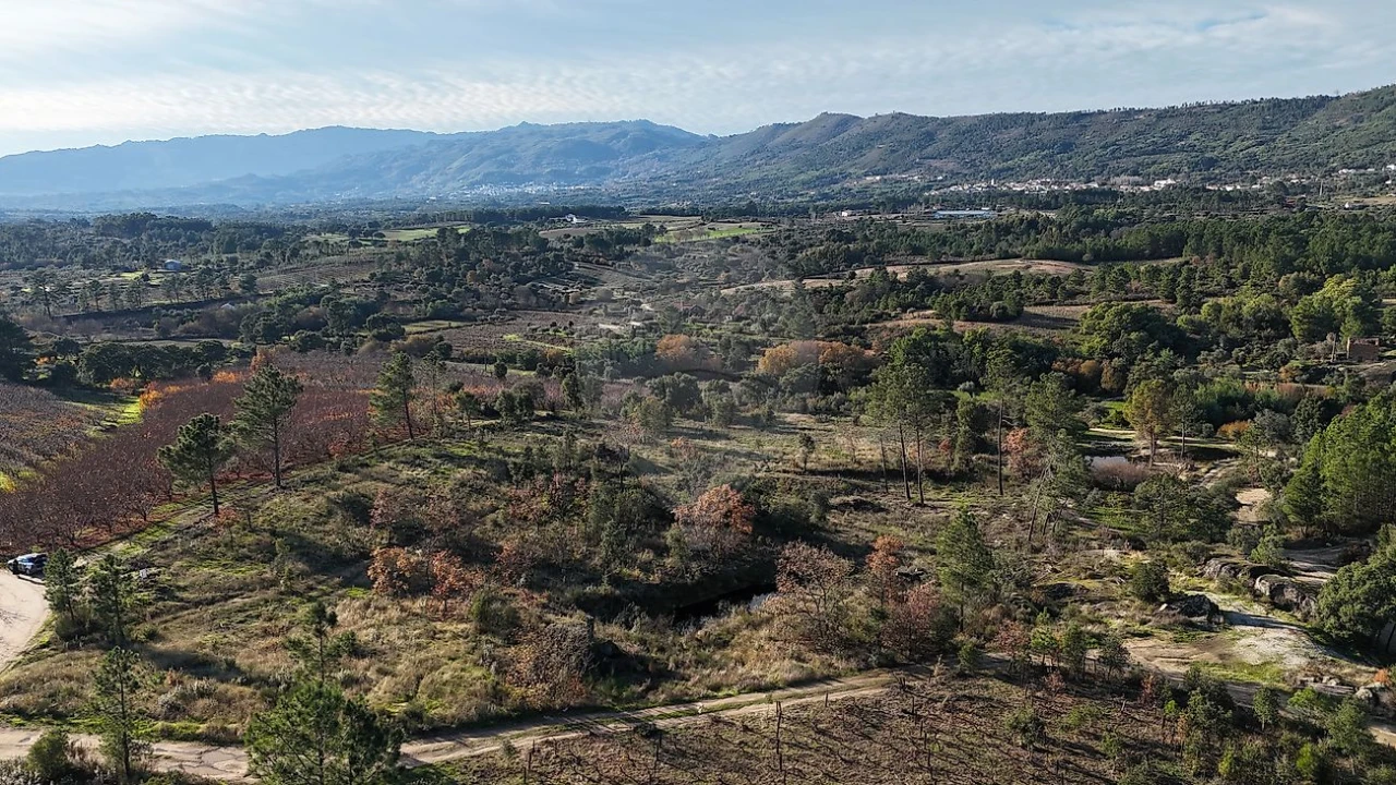 Terreno para Venda em Vale de Prazeres e Mata da Rainha Foto 6