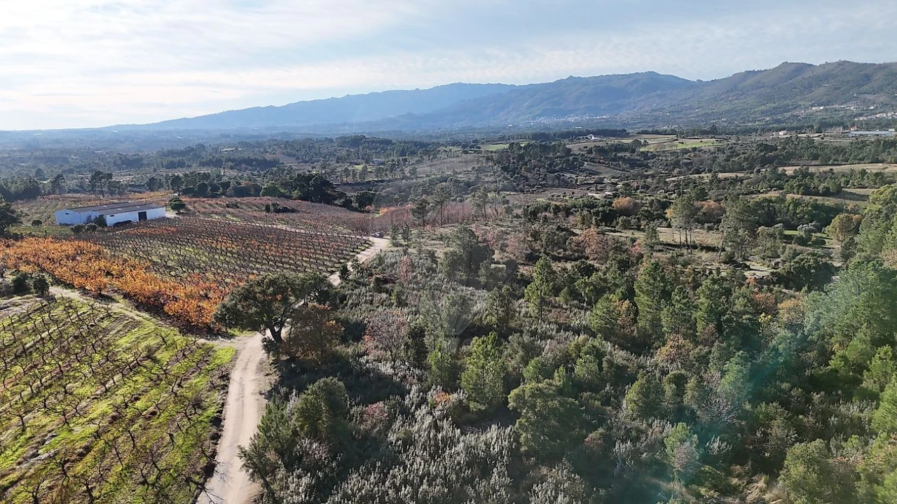 Terreno para Venda em Vale de Prazeres e Mata da Rainha Foto 11