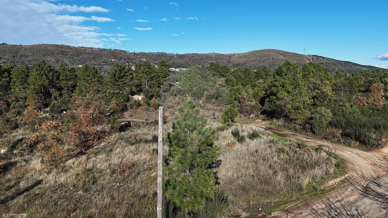 Terreno para Venda em Vale de Prazeres e Mata da Rainha Foto 8