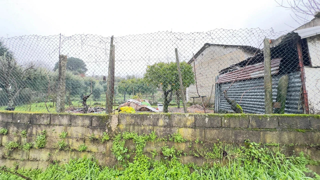 Terreno Agricola ou Rústico para Venda em São João de Lourosa Foto 10