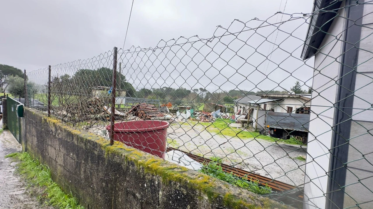Terreno Agricola ou Rústico para Venda em São João de Lourosa Foto 14