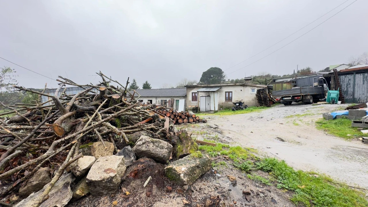 Terreno Agricola ou Rústico para Venda em São João de Lourosa Foto 4