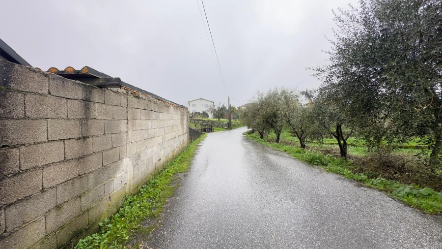 Terreno Agricola ou Rústico para Venda em São João de Lourosa Foto 12