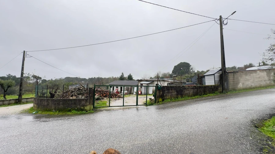 Terreno Agricola ou Rústico para Venda em São João de Lourosa Foto 13